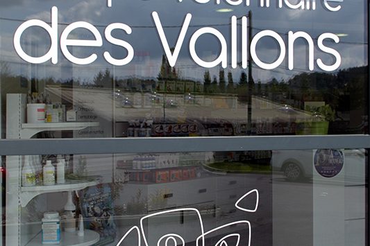 ID’akt – Clinique Vétérinaire des Vallons – Saint Jean de Soudain – vue 10 ID'akt - Clinique Vétérinaire des Vallons - Saint Jean de Soudain - vue 10