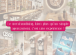 Le merchandising et les marques